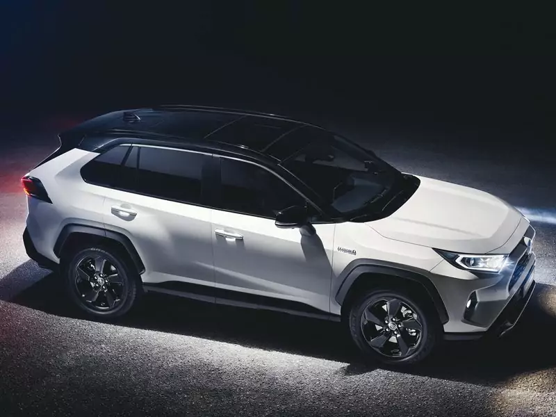 Toyota RAV 4 2.5 Hybride 222 Distinctive +