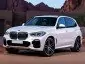 BMW X5 xDrive 30d Lounge