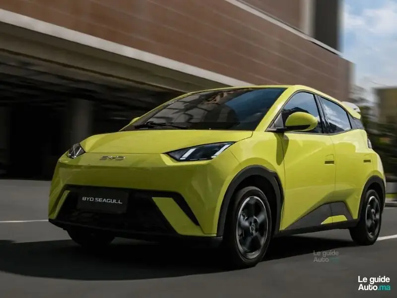 BYD Seagull