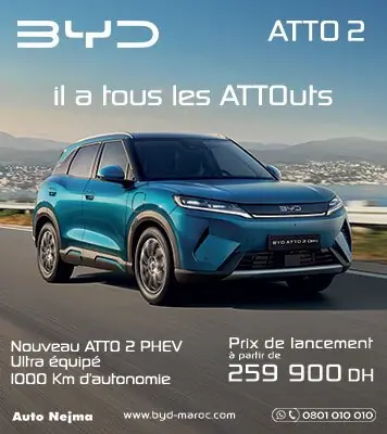 Offres BYD Atto 2