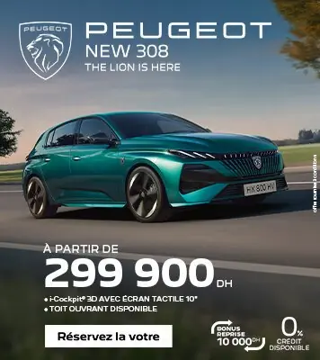 PGT 308