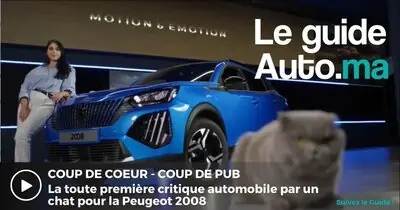 Lancement de la toute première critique automobile par un chat pour la Peugeot 2008